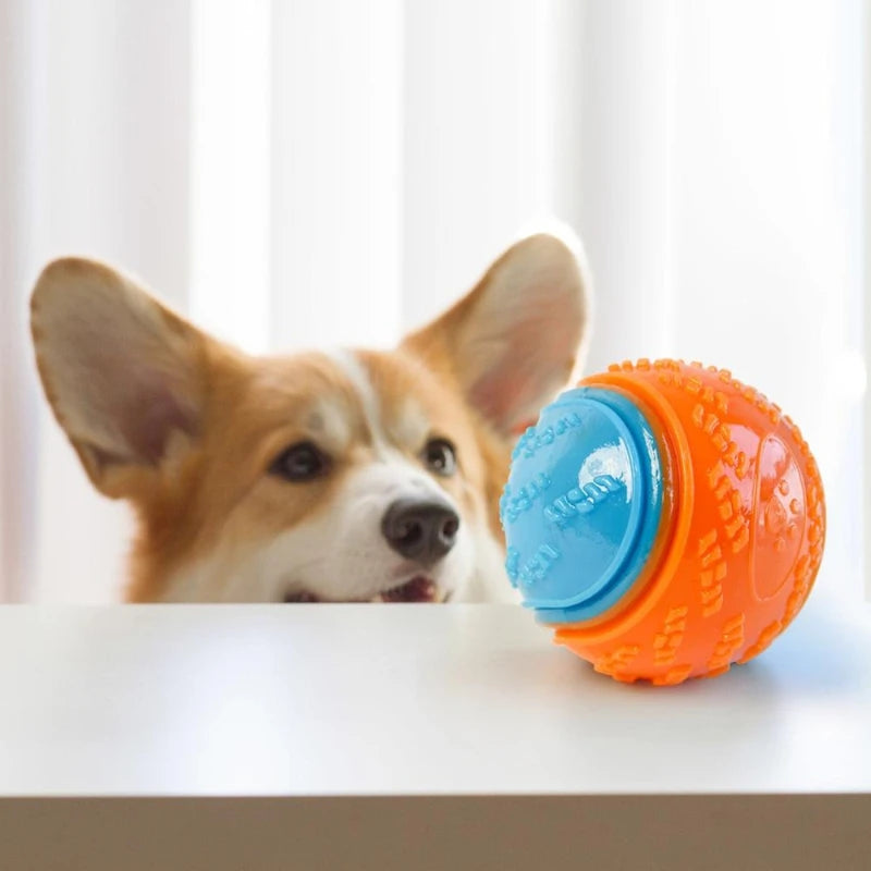 Bite-resistant silicone squeaky ball for dogs