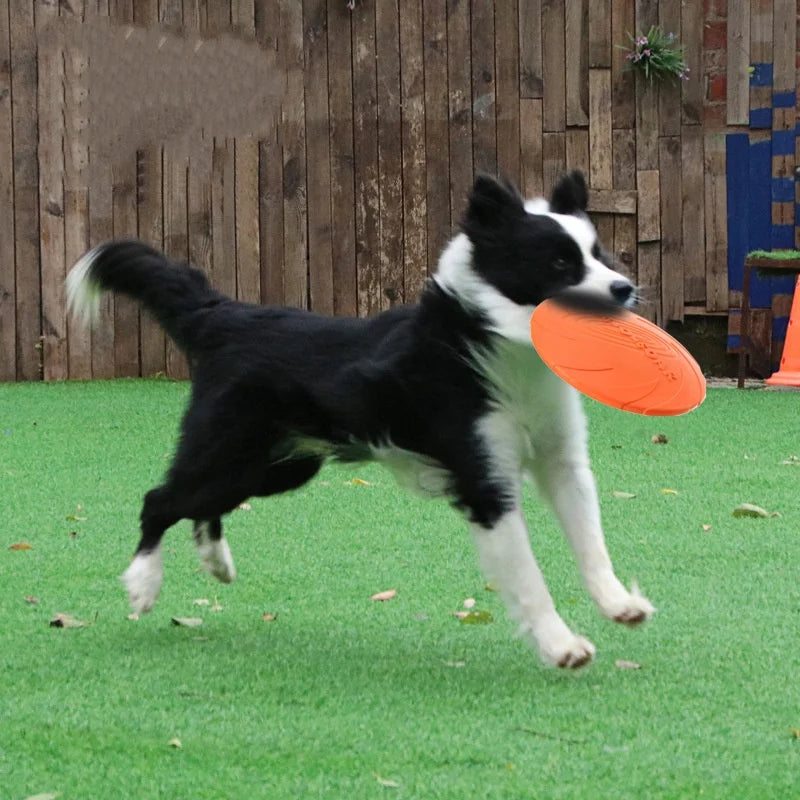 Flying Saucer Chew Disc