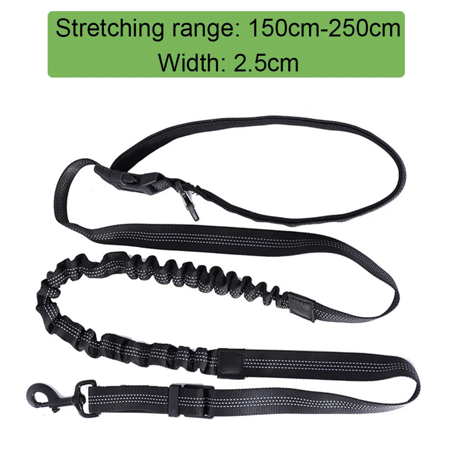 Hands-Free Running Leash