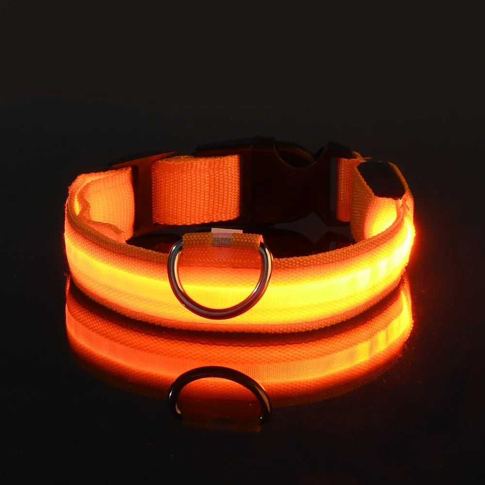 LED Glow Night Safety Leash