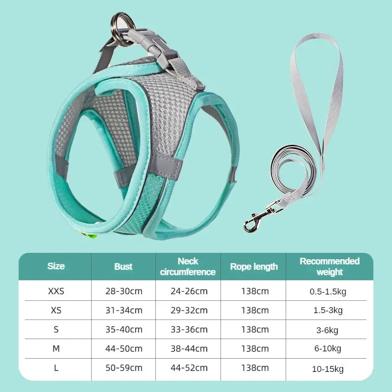 Puppy Vest Harness Set