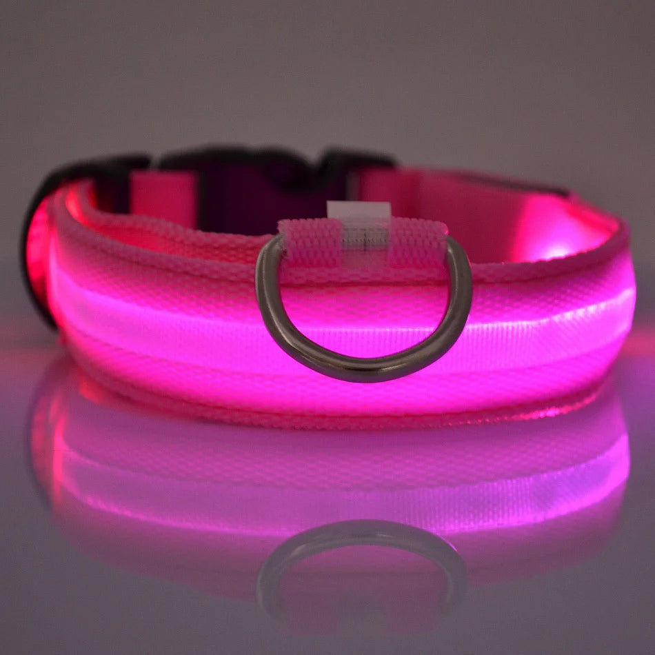 LED Glow Night Safety Leash