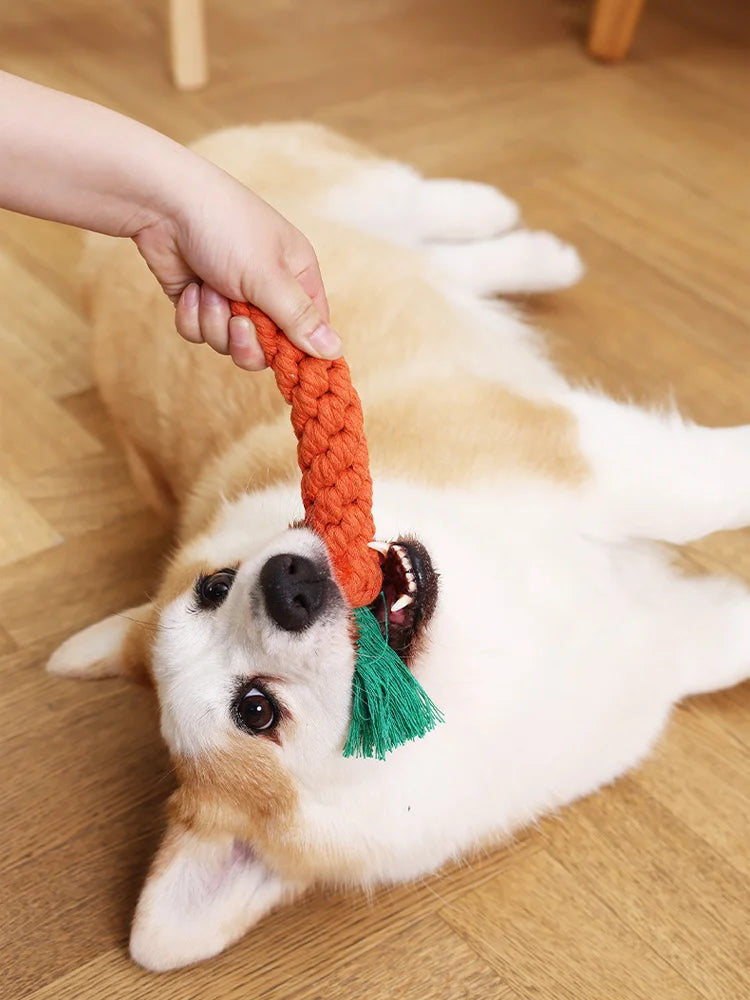 Carrot Rope Chew Toy