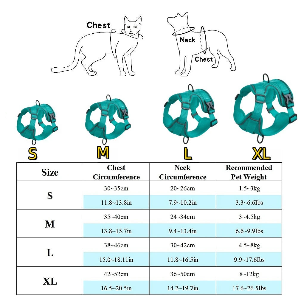 Small Dog Harness Set