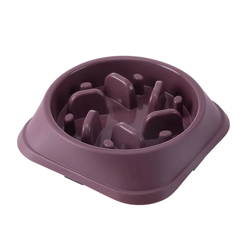 Anti-Choke Slow Feed Bowl