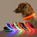 LED Glow Night Safety Leash