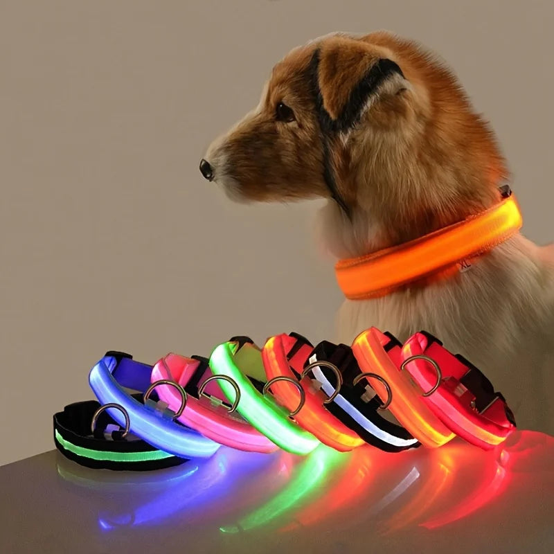 LED Glow Night Safety Leash