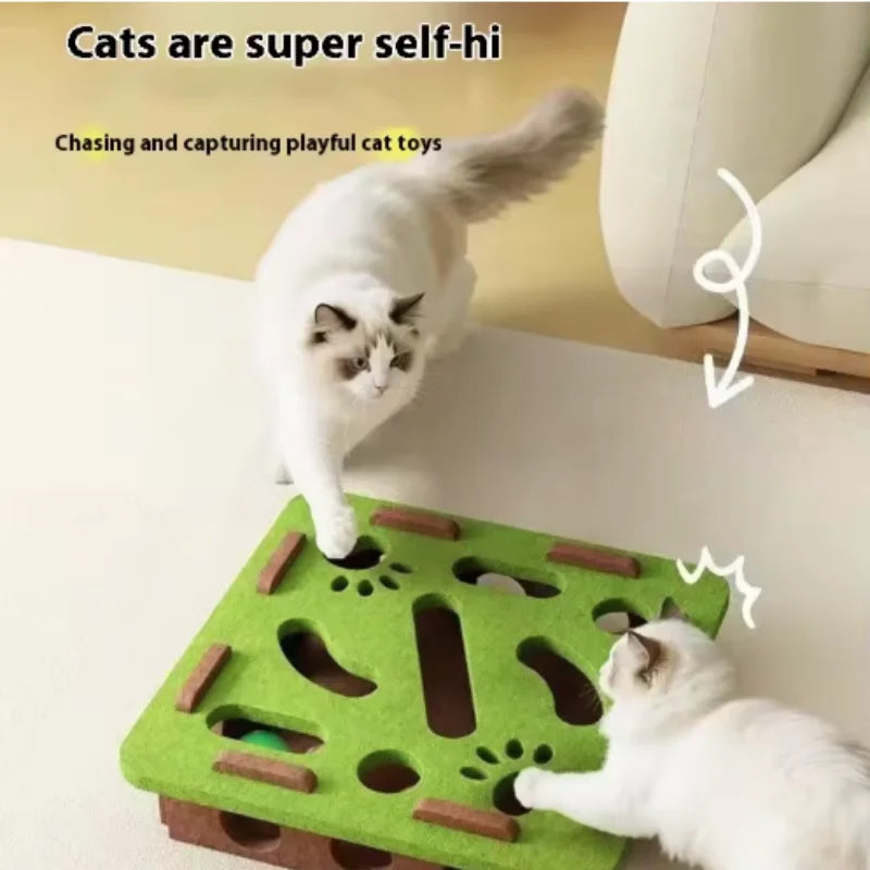 Interactive Cat Puzzle Box