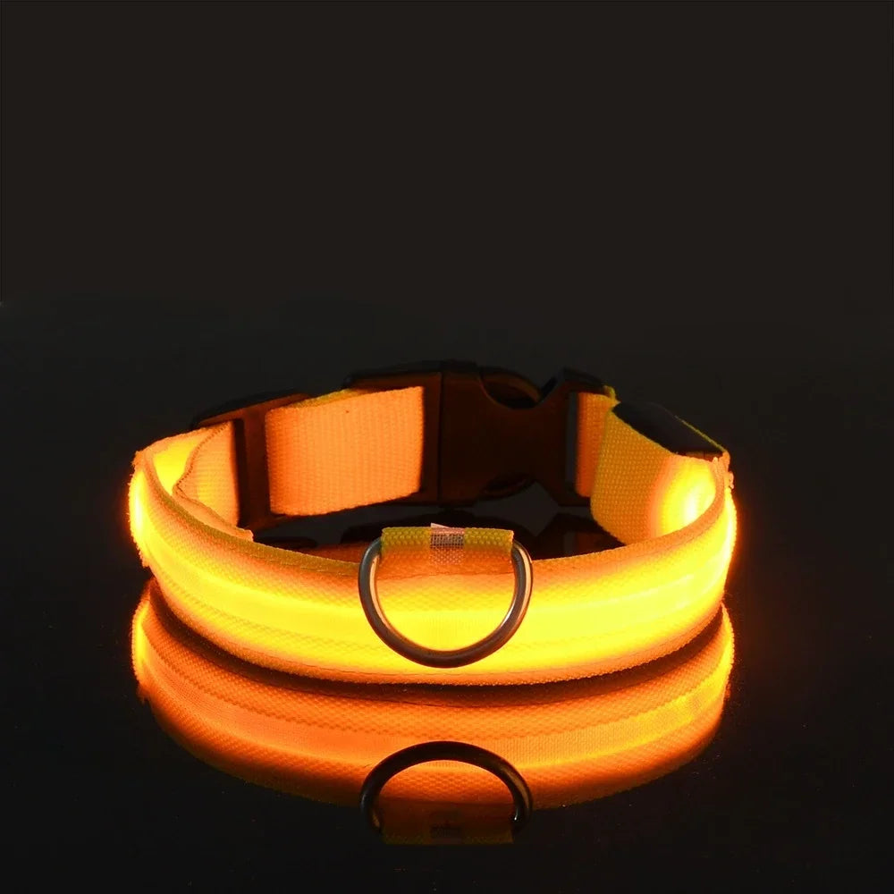 LED Glow Night Safety Leash