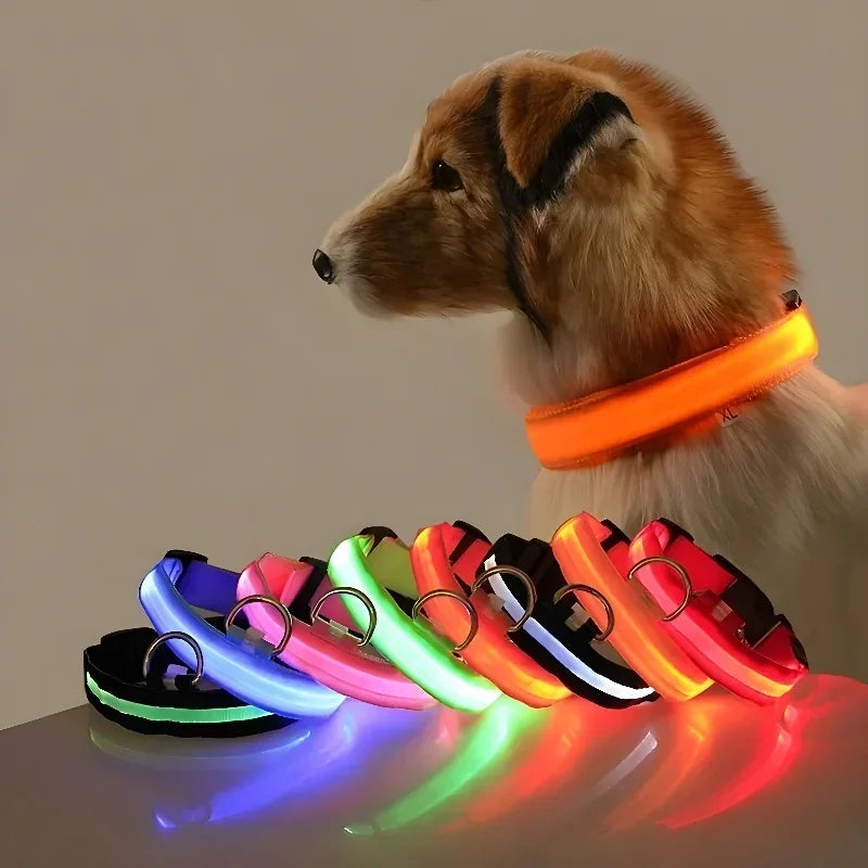 LED Glow Night Safety Leash