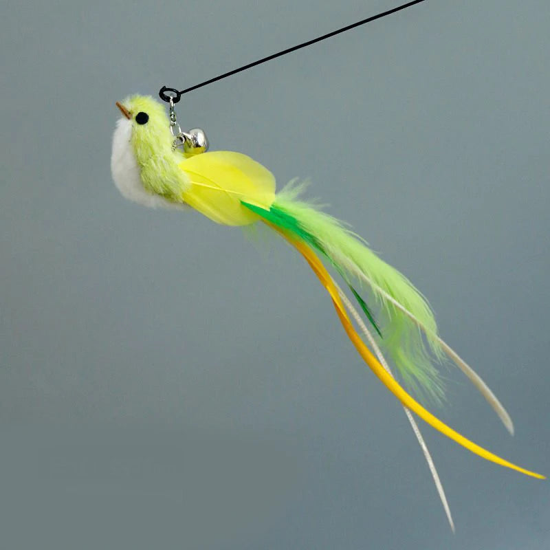 Feather Wand Cat Teaser