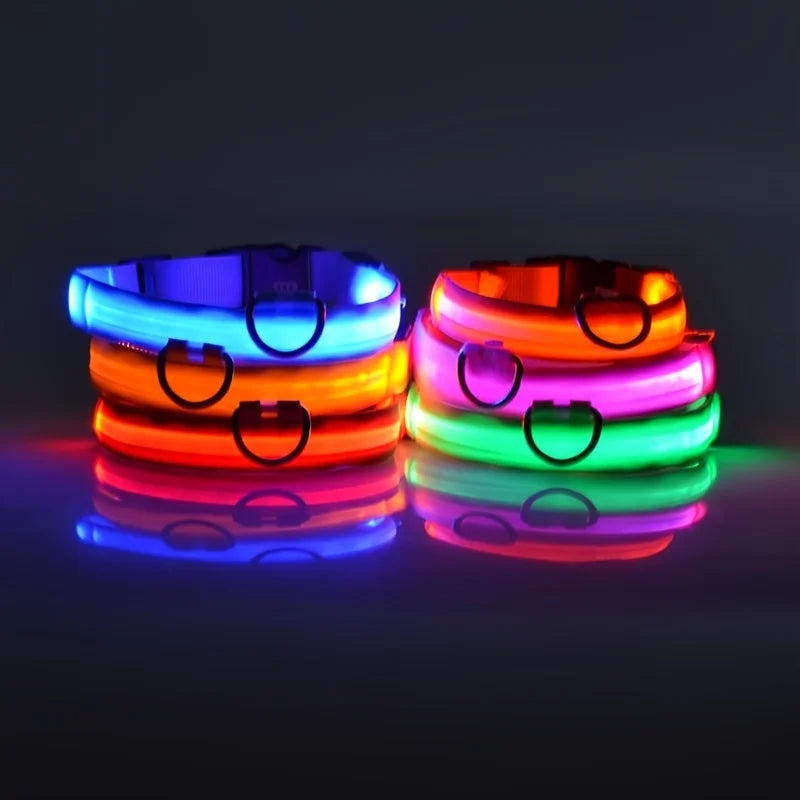 LED Glow Night Safety Leash
