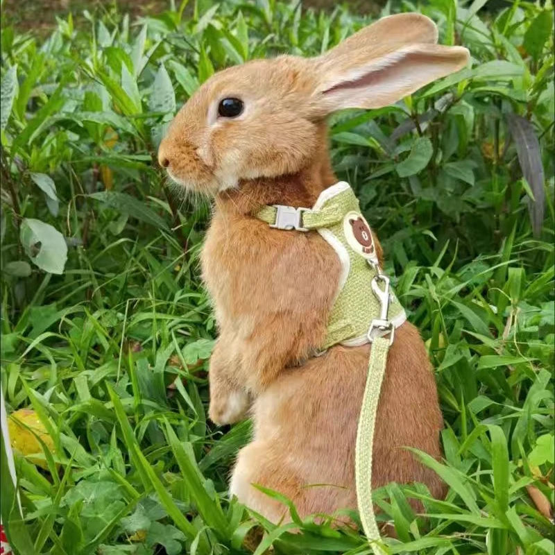 Rabbit Vest Harness Set