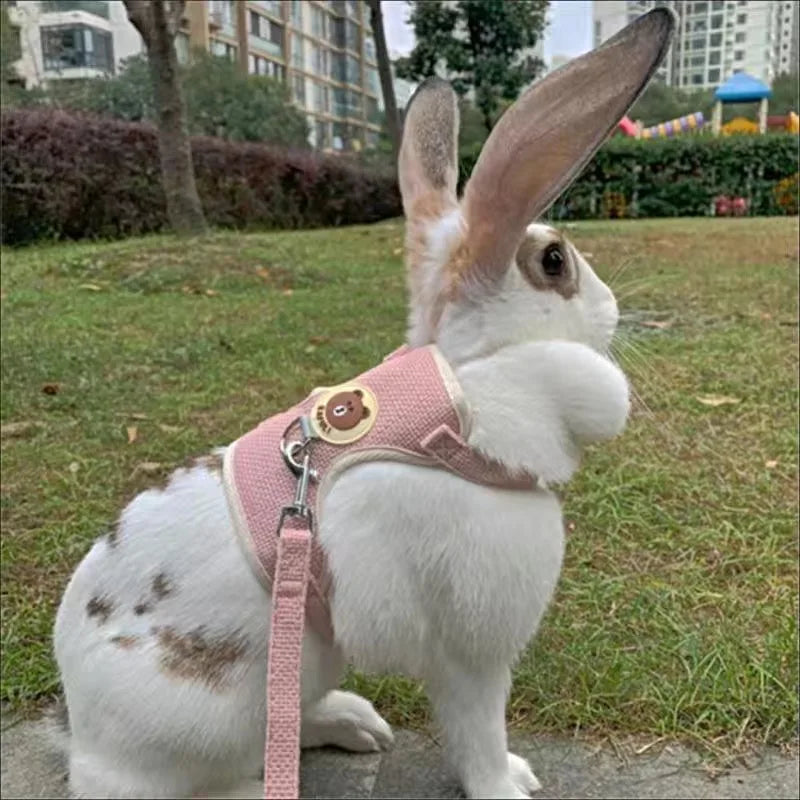 Rabbit Vest Harness Set