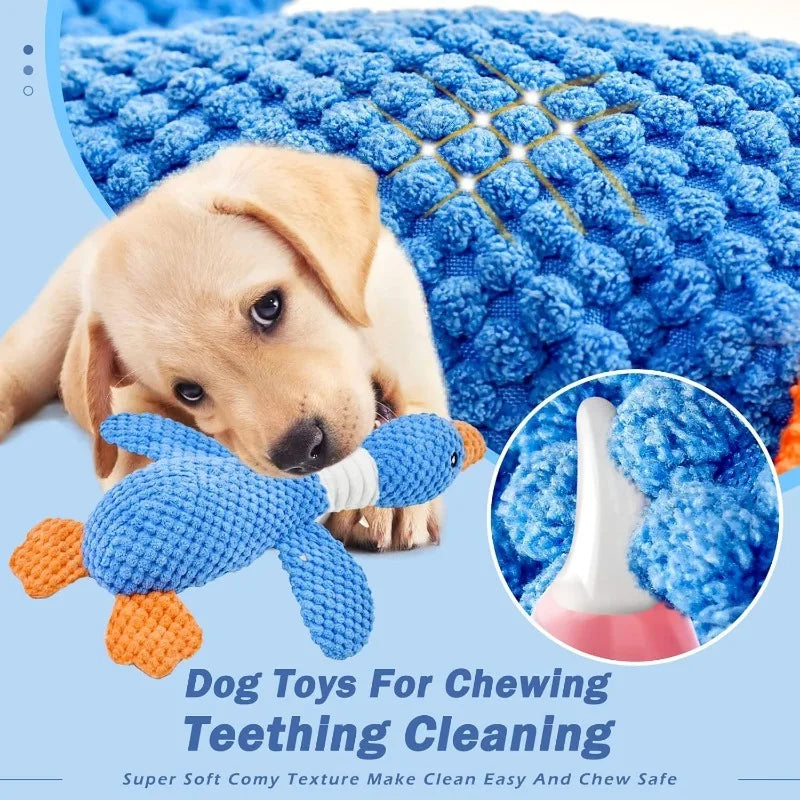 Interactive Plush Chew Toy