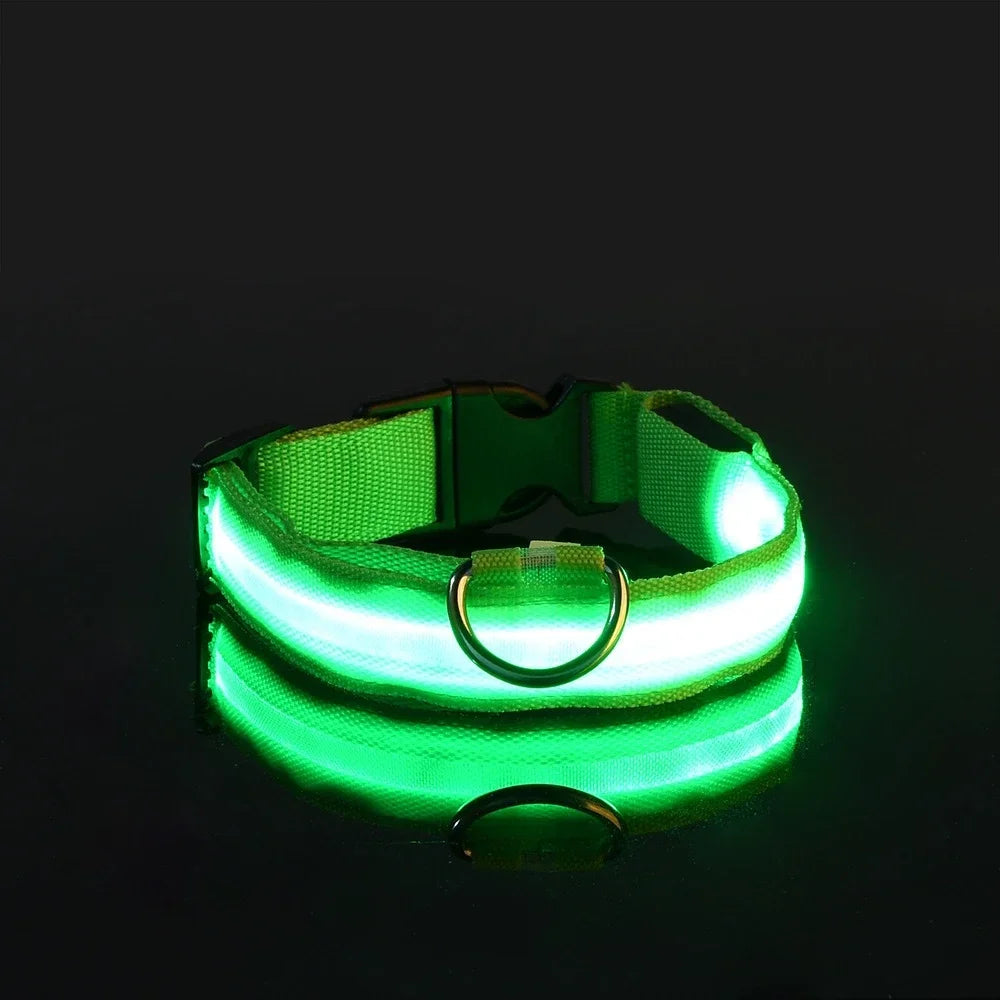 LED Glow Night Safety Leash