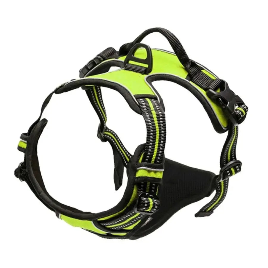 Leather Collar & Harness Set