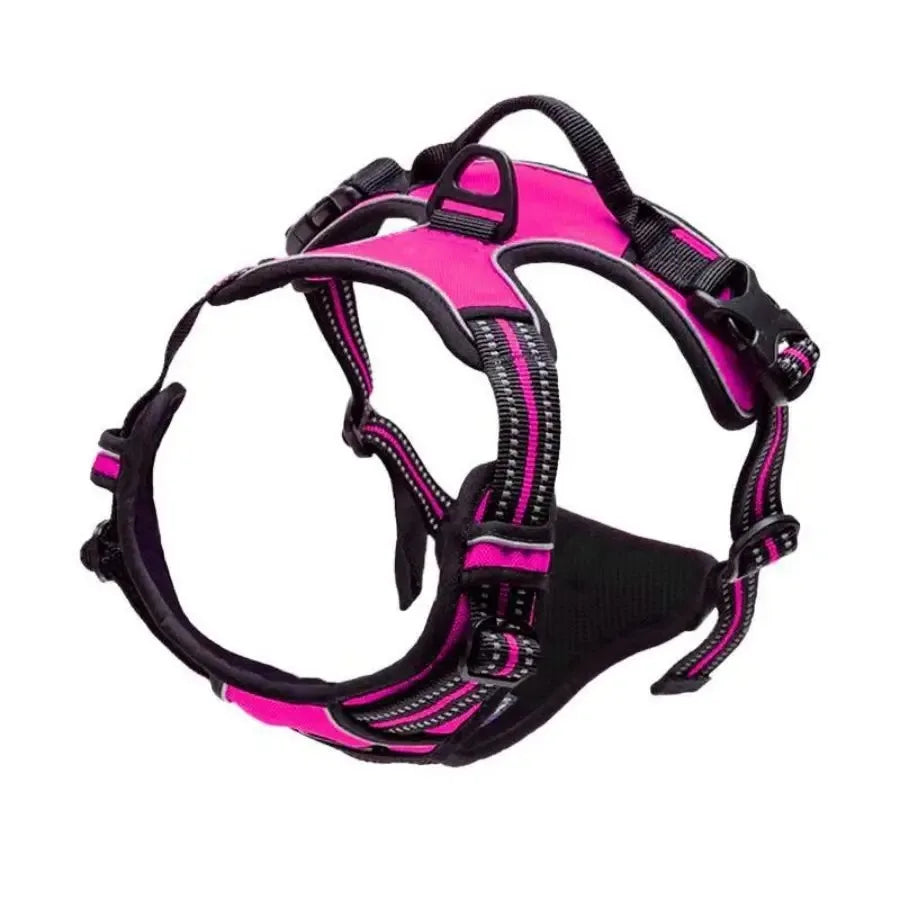 Leather Collar & Harness Set