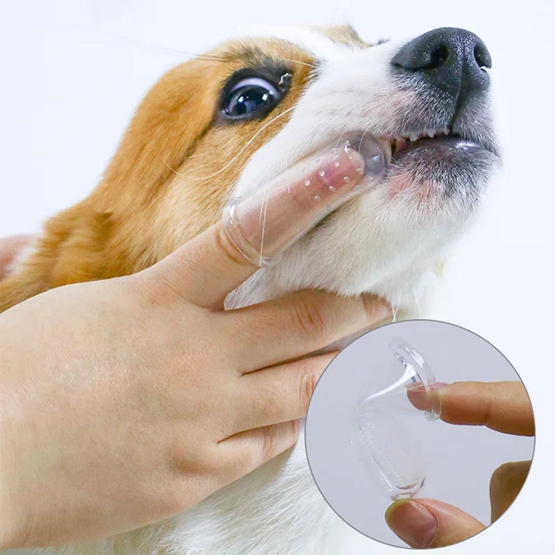 Teddy Silicone Finger Toothbrush
