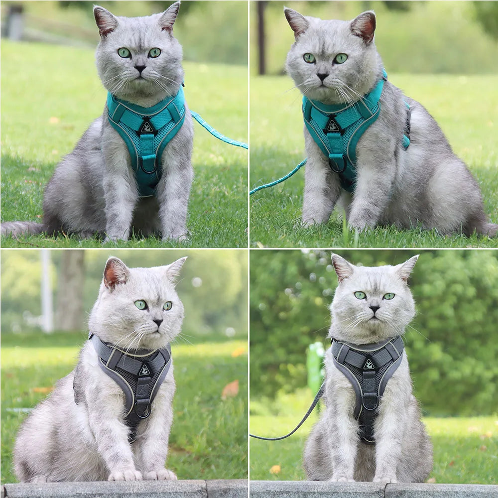 Small Dog Harness Set