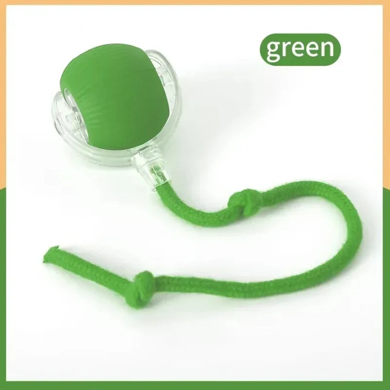 ETPU Dog Bite-Resistant Ball Round Electric Non-Toxic Molar Ball Training Pet Dog Toy Ball Food Grade Certification