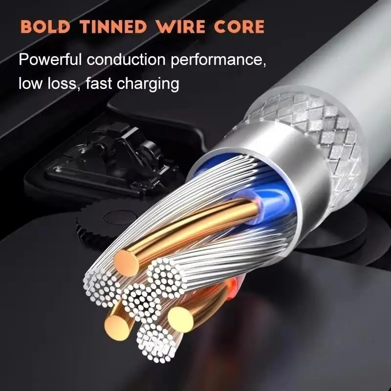 100W Fast Charging Cable