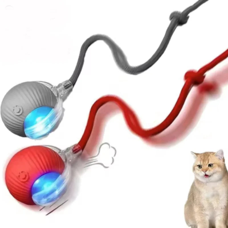 ETPU Dog Bite-Resistant Ball Round Electric Non-Toxic Molar Ball Training Pet Dog Toy Ball Food Grade Certification