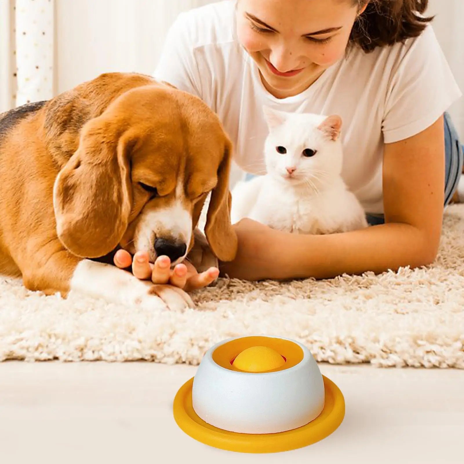 Slow-Feed Puzzle Toy