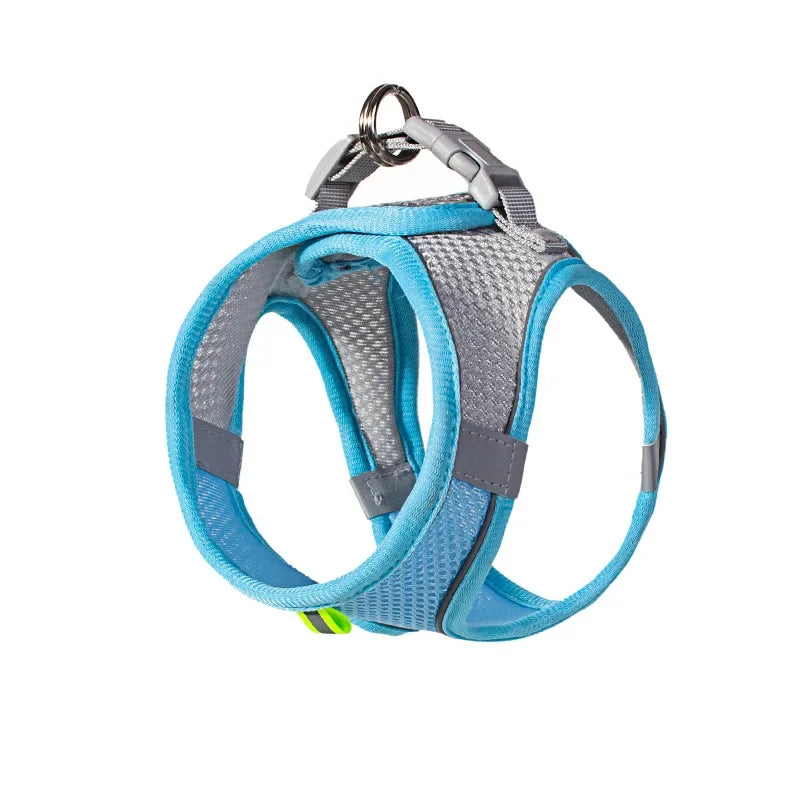 Puppy Vest Harness Set