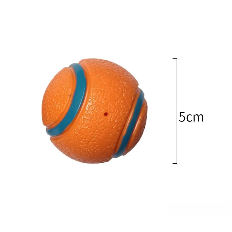 Bouncy Dog Fetch Ball