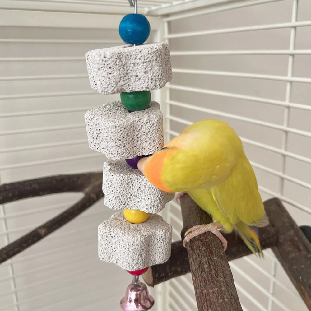 Volcanic Rock Chew Toy