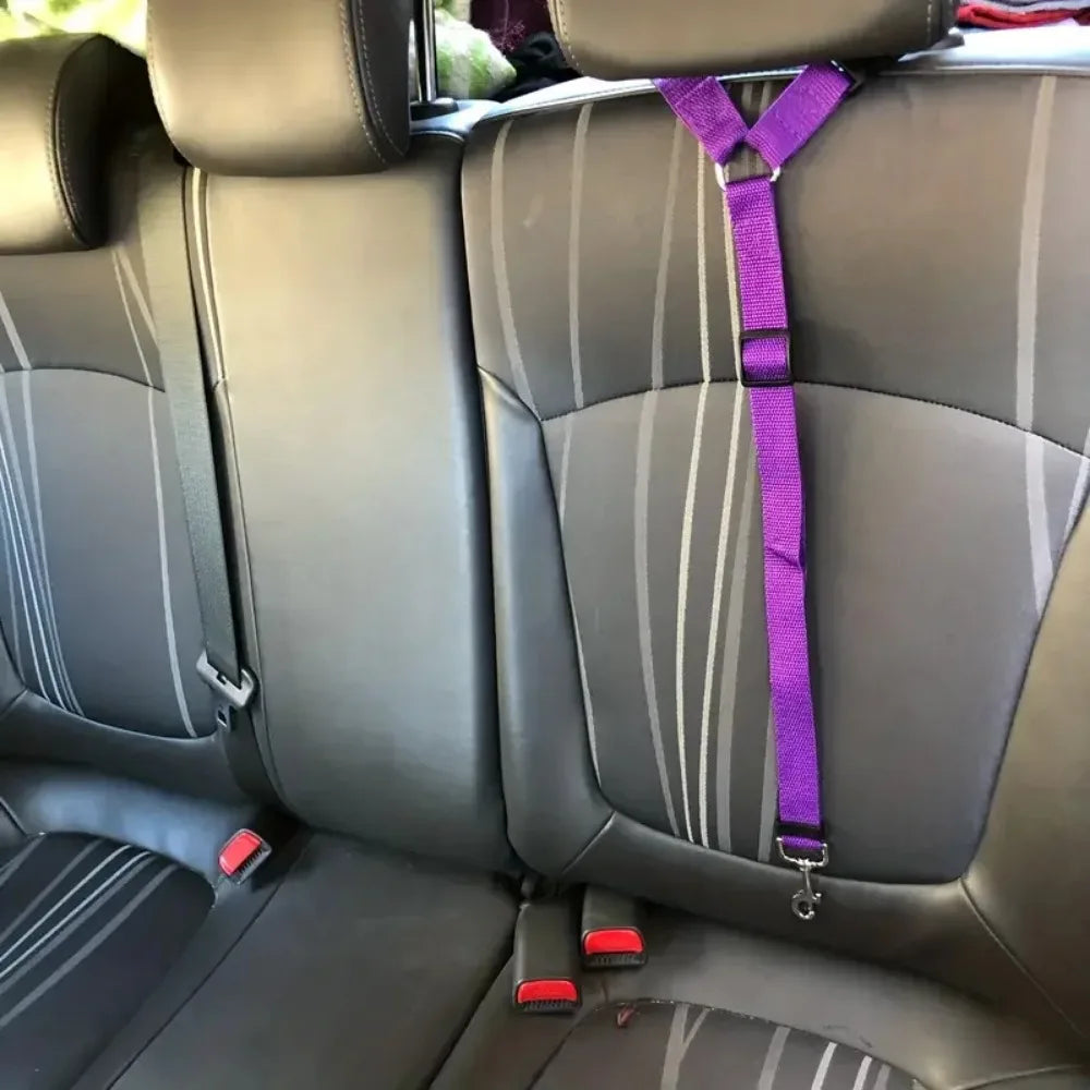 Pet Car Safety Belt