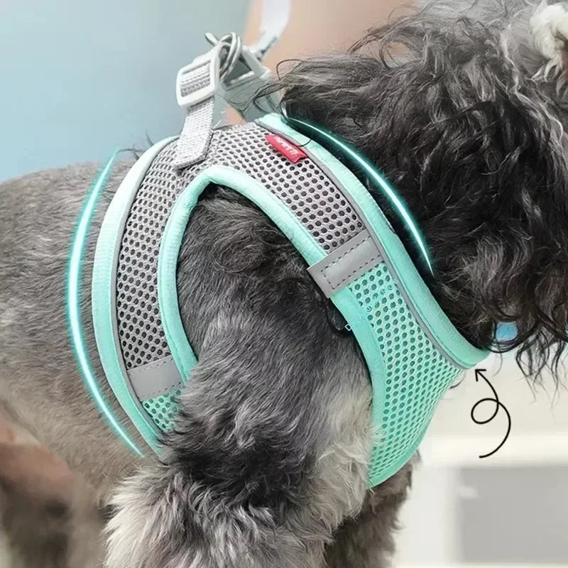 Puppy Vest Harness Set