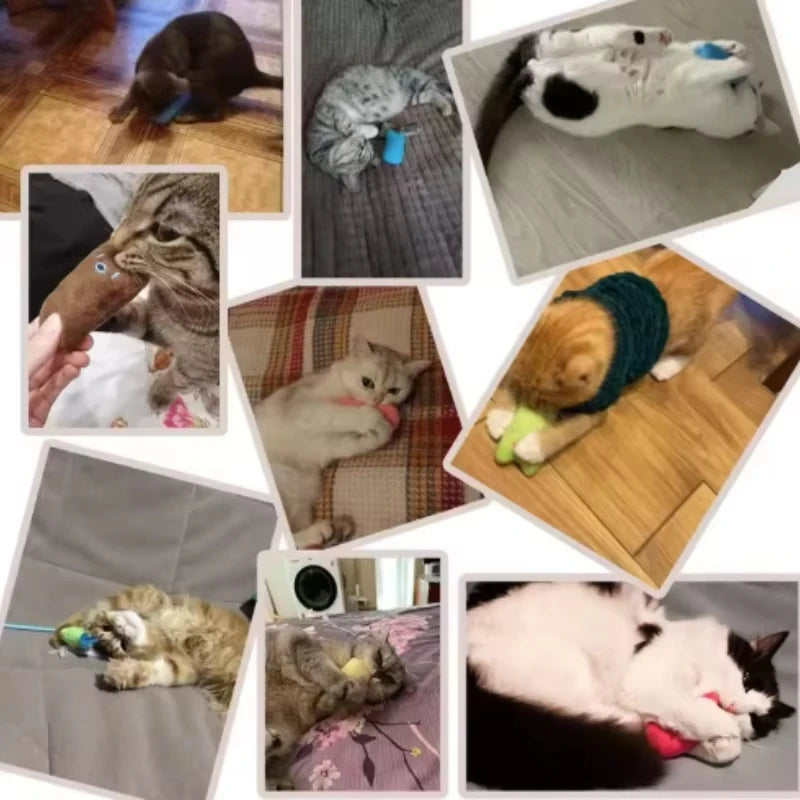 Interactive Catnip Chew Toy