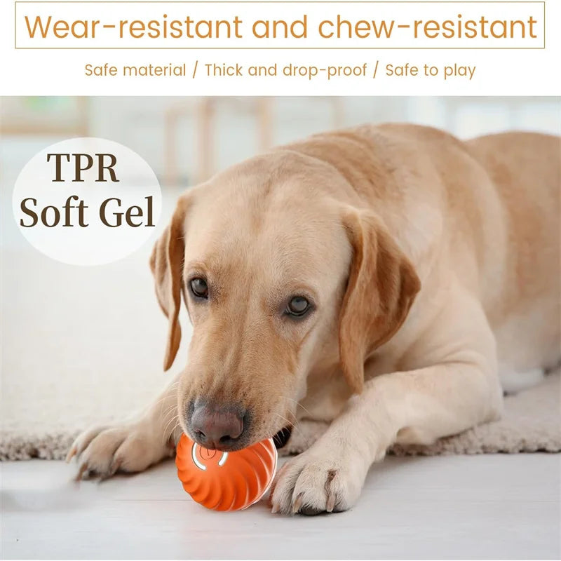USB-rechargeable smart bouncing ball toy for pets