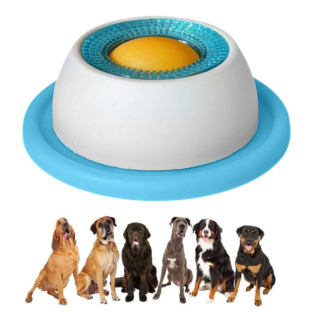 Slow-Feed Puzzle Toy