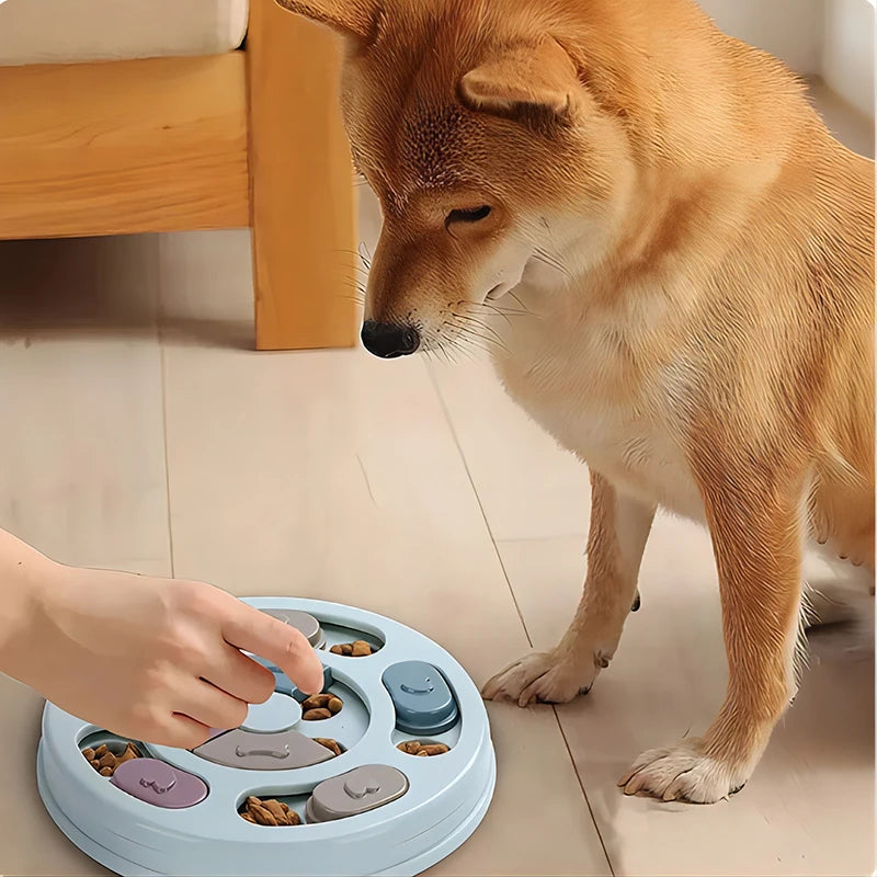 Interactive Puzzle Feeder