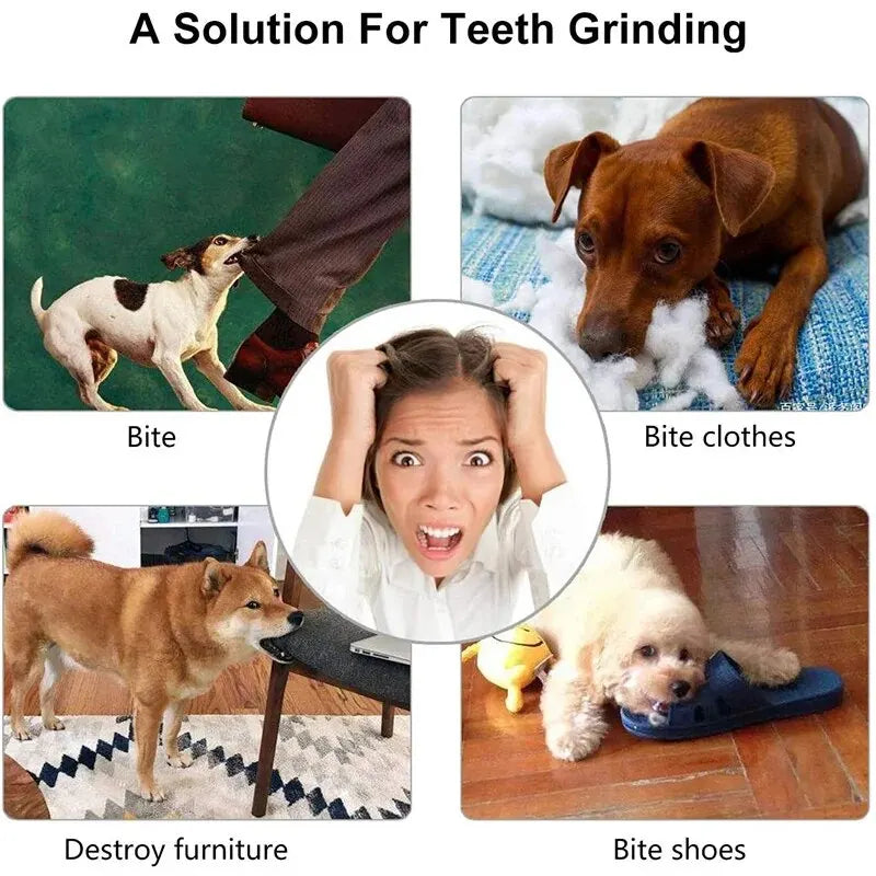 Bite-Resistant Dog Treat Ball