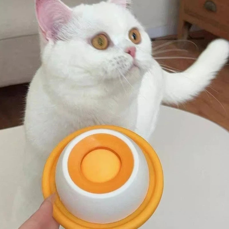 Slow-Feed Cat Bowl