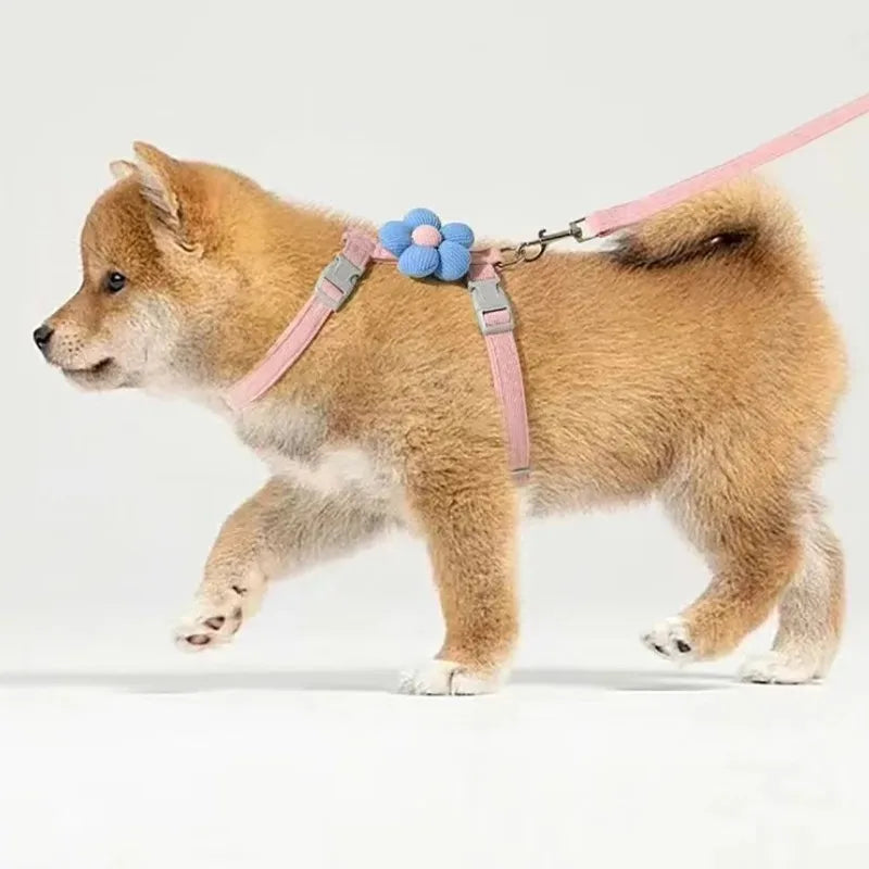 Breathable Cat Harness Set