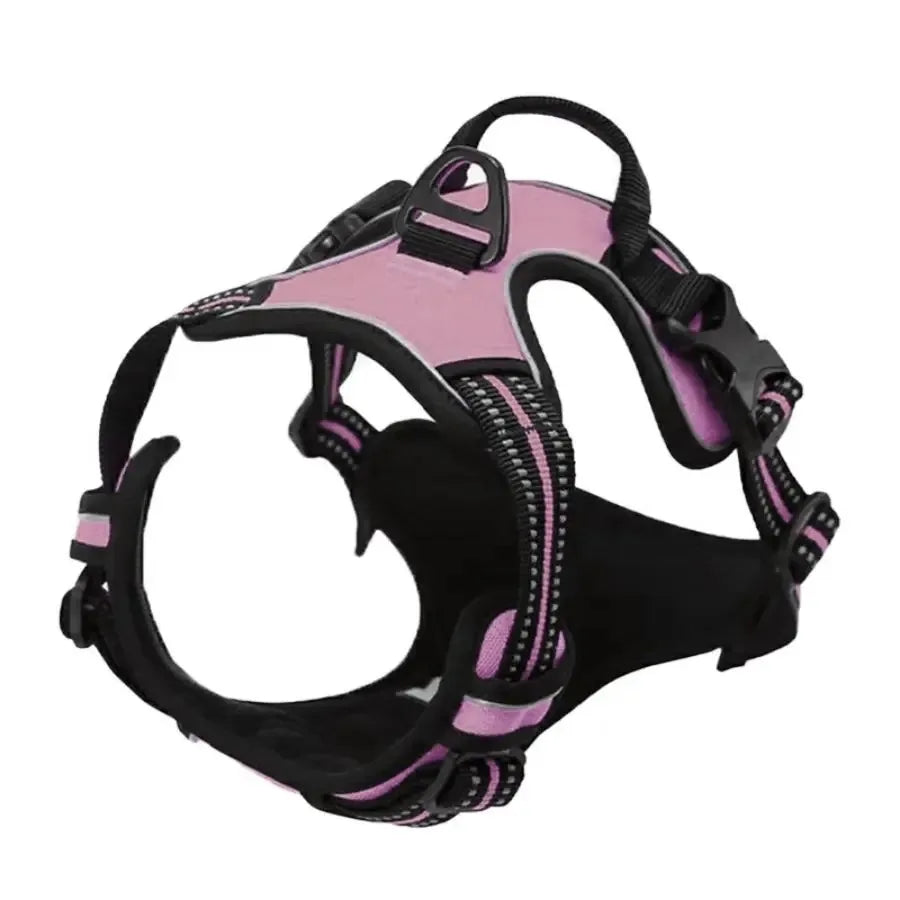 Leather Collar & Harness Set