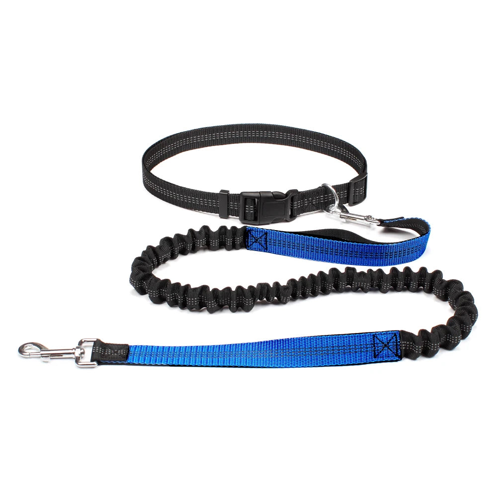 Hands-Free Running Leash