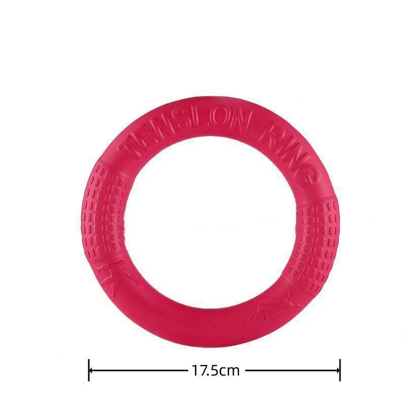 Interactive Ring Toss Disk