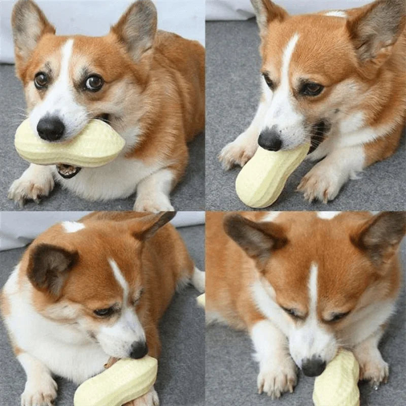 Squeaky Peanut Dog Chew Toy