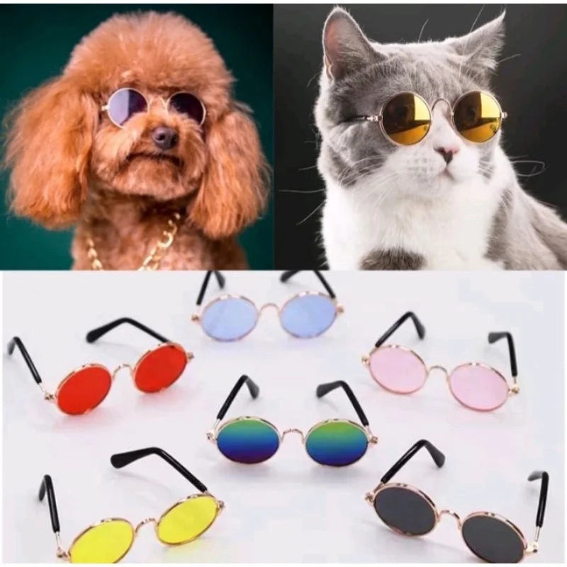 Pet Sunglasses Photo Prop