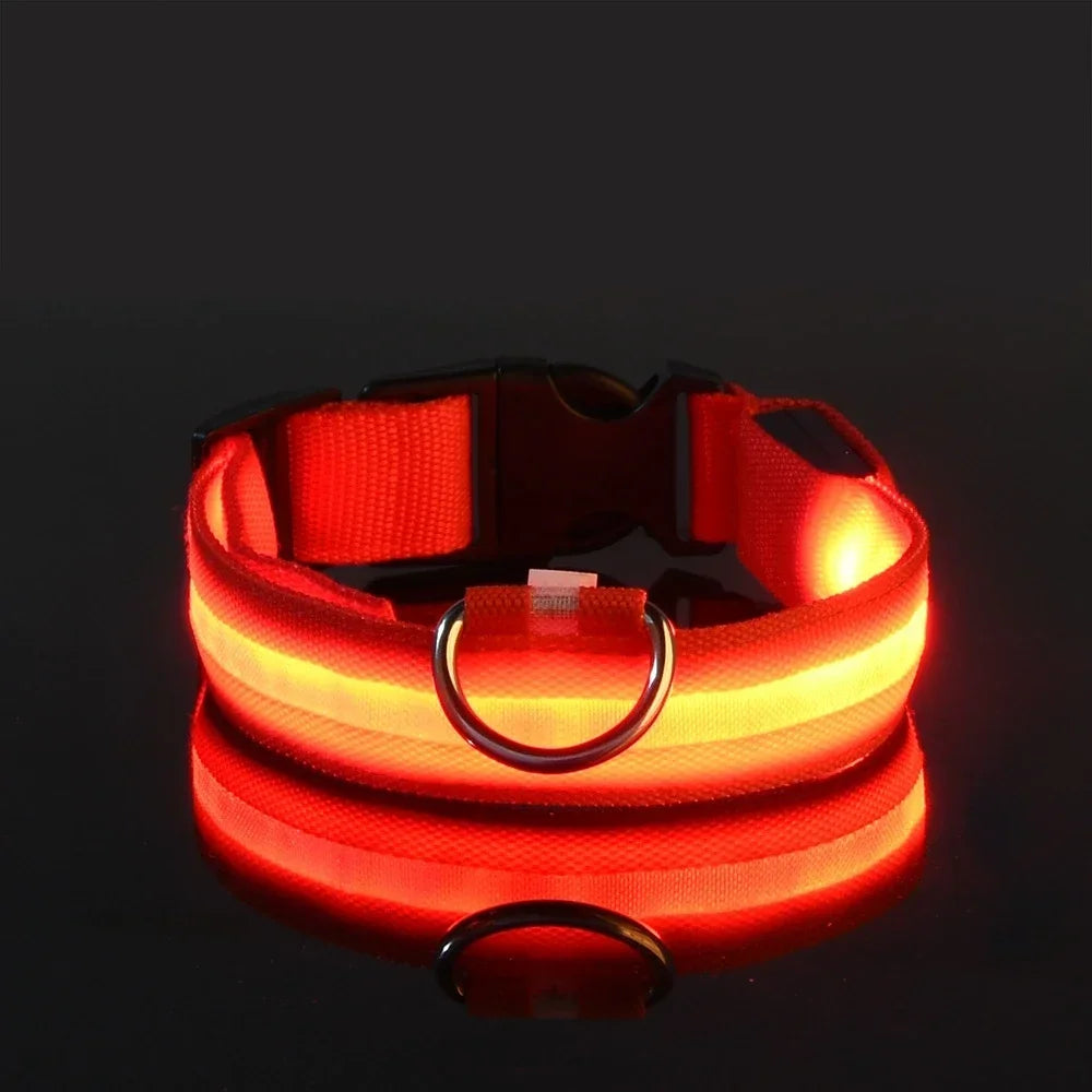 LED Glow Night Safety Leash