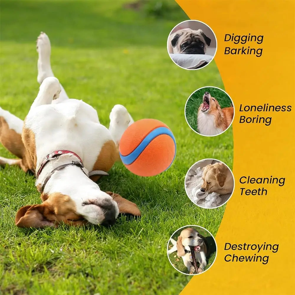 Premium Natural Rubber Dog Ball Toy, Non-Toxic Elasticity Bouncy Ball for Large Dogs, Interactive Training & Exercise