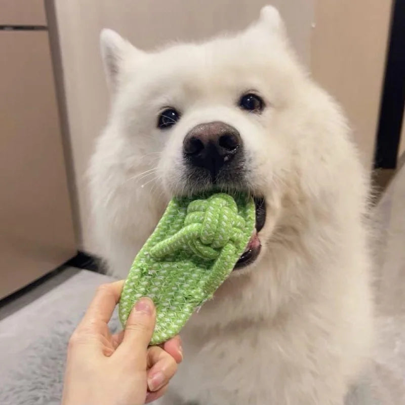 Cotton Rope Chew Toy
