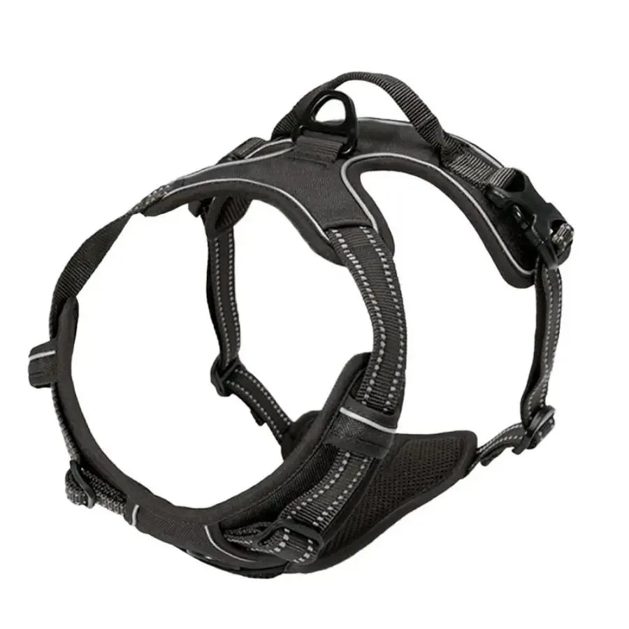 Leather Collar & Harness Set