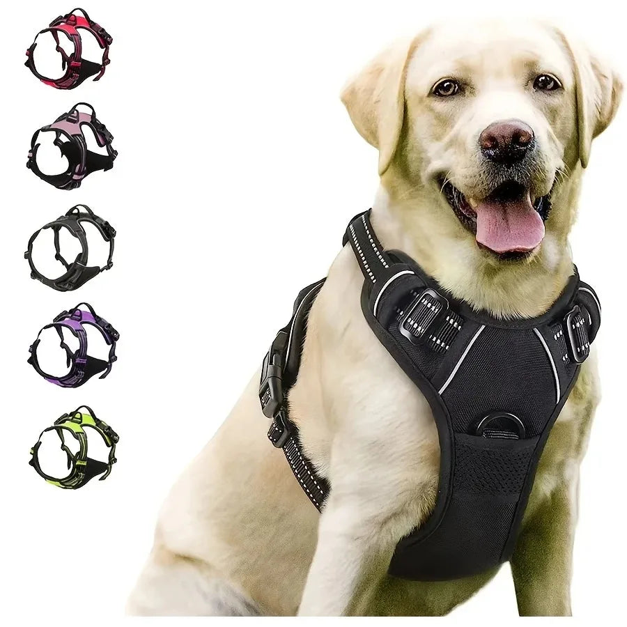 Leather Collar & Harness Set
